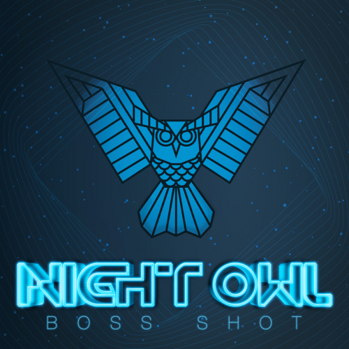 Night Owl Boss Shot by Flavour Boss - 250ml.